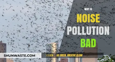 Noise Pollution: Harmful Effects and Prevention