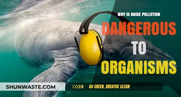 Noise Pollution's Hidden Dangers: How Sound Harms Living Organisms