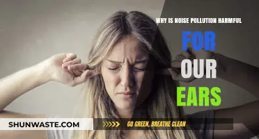 Noise Pollution's Silent Threat: Protecting Ears from Harmful Effects