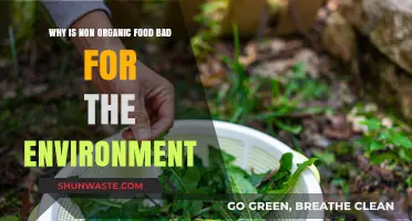 Non-Organic Food's Hidden Environmental Costs: A Sustainable Diet Dilemma