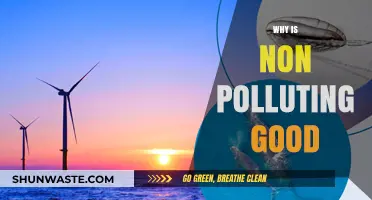 Clean Air, Clear Conscience: The Benefits of Non-Polluting Choices