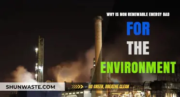 Non-Renewable Energy's Harmful Impact on Our Environment Explained