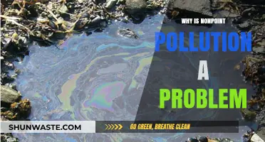 Nonpoint Pollution: A Hidden Threat to Water Quality and Ecosystems