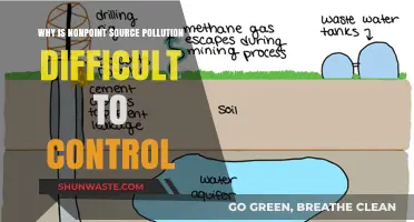 Controlling Nonpoint Source Pollution: A Complex Challenge