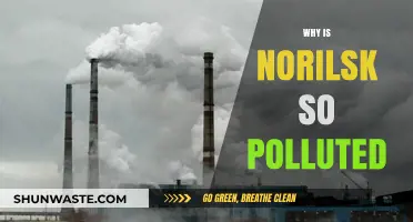 Norilsk's Toxic Legacy: Uncovering the Causes of Extreme Pollution