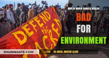 Dakota Access Pipeline: Environmental Threats and Long-Term Ecological Damage