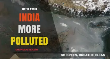 Why North India Suffers Higher Pollution Levels: Causes and Impact