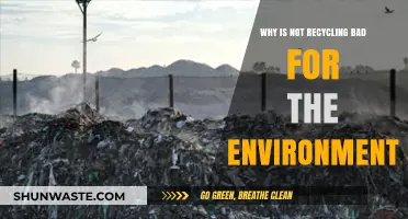 Skipping Recycling: How It Harms Our Planet and Future