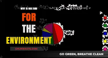 Nitrogen Oxides: Environmental Impact and Harmful Effects Explained