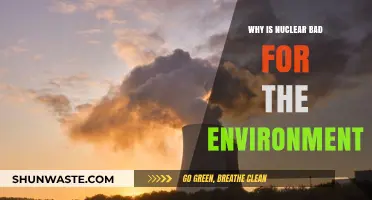 Nuclear Energy's Hidden Costs: Environmental Risks and Long-Term Impacts