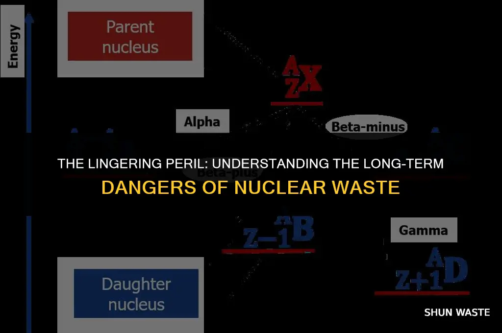 why is nuclear waste dangerous for a long time
