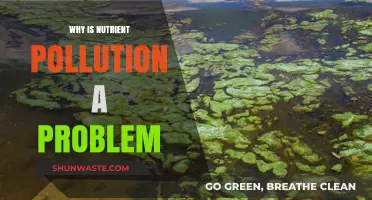 Nutrient Pollution: A Silent Threat to Ecosystems and Human Health