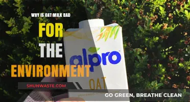 Oat Milk's Hidden Environmental Impact: Uncovering Its Ecological Footprint