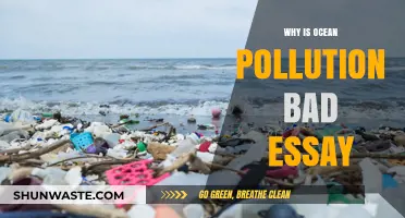 Devastating Impacts of Ocean Pollution: A Comprehensive Essay Analysis