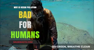 Ocean Pollution's Devastating Impact on Human Health and Well-being