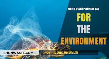 Ocean Pollution's Devastating Impact: Harming Ecosystems, Wildlife, and Our Planet