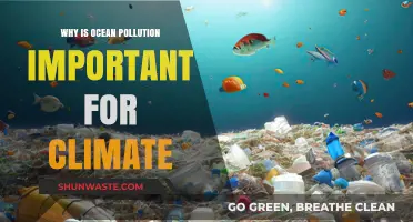 Ocean Pollution's Impact: A Critical Factor in Climate Change