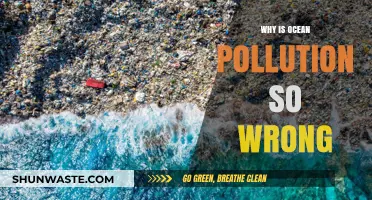Ocean Pollution's Devastating Impact: Why It's a Global Crisis