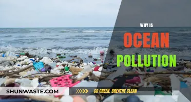 The Devastating Impact of Ocean Pollution: Causes and Consequences