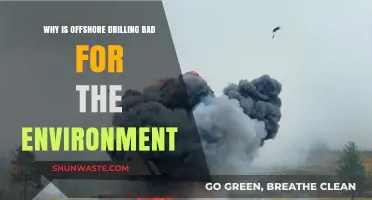Offshore Drilling's Devastating Environmental Impact: Risks, Pollution, and Destruction