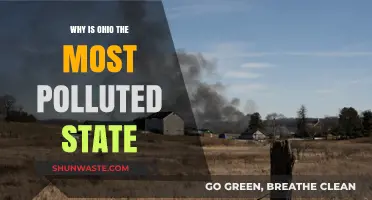 Ohio's Pollution Crisis: Uncovering the Causes of Its Toxic Reputation