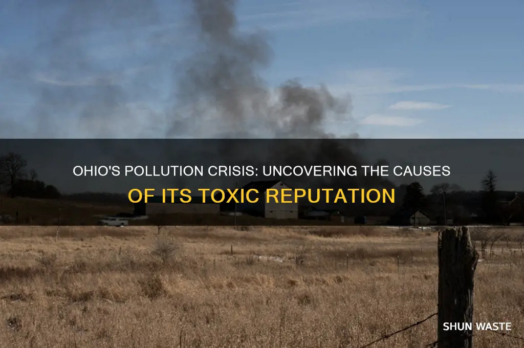 why is ohio the most polluted state