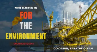 Oil and Gas: Environmental Impacts and Unsustainable Practices Explained