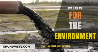 Environmental Impact of Oil: Pollution, Climate Change, and Ecosystem Destruction