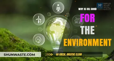 Oil's Surprising Eco-Benefits: How It Supports a Greener Planet