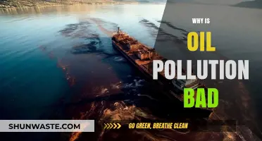 Devastating Impacts of Oil Pollution on Ecosystems, Wildlife, and Human Health