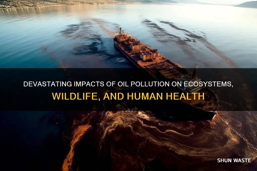 why is oil pollution bad