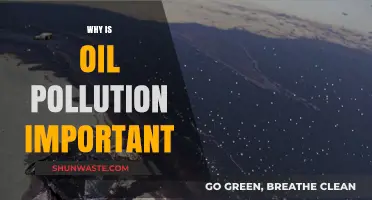 Oil Pollution's Impact: Understanding Its Importance and Global Consequences
