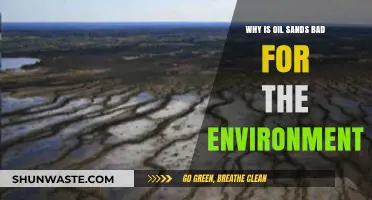 Oil Sands' Devastating Environmental Impact: Pollution, Deforestation, and Climate Crisis