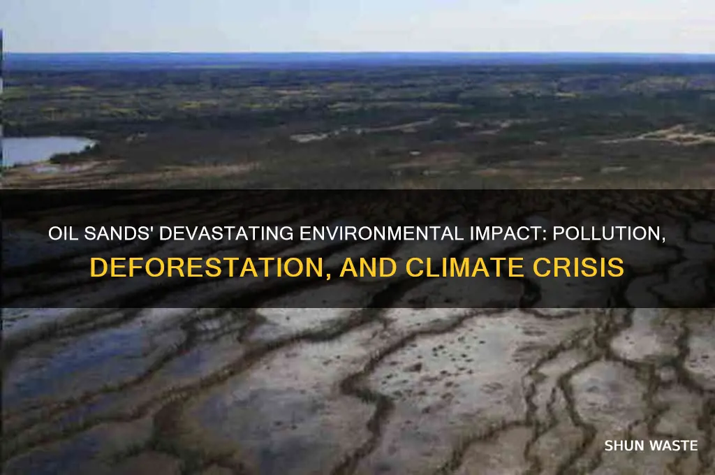 why is oil sands bad for the environment