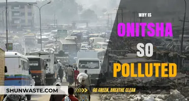 Why Onitsha's Air Quality Crisis Demands Urgent Environmental Action