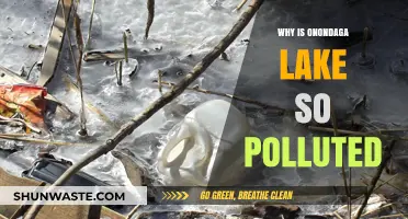 Unveiling the Toxic Legacy: Why Onondaga Lake Remains Polluted