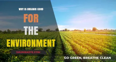 Organic Farming: A Sustainable Choice for a Healthier Planet
