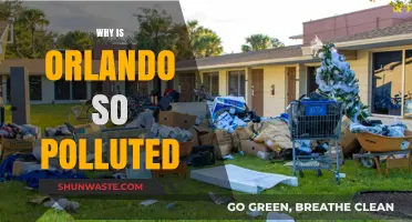 Orlando's Pollution Crisis: Uncovering Causes and Seeking Solutions