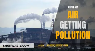 Air Pollution: Human Activities, Human Consequences