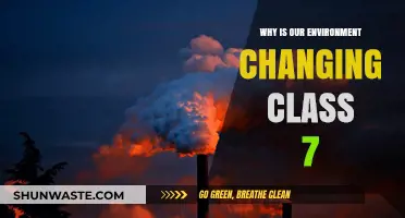 Understanding the Causes of Our Changing Environment for Class 7 Students