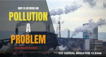 Air Pollution: A Global Health Crisis