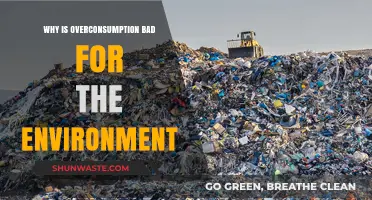 Overconsumption's Environmental Impact: How Excess Harms Our Planet's Future