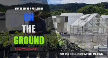 Ground-Level Ozone: Understanding Its Harmful Effects as an Air Pollutant