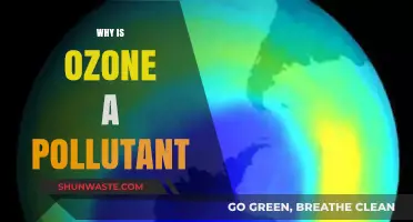 Ozone's Dual Nature: How a Lifesaver Becomes a Pollutant