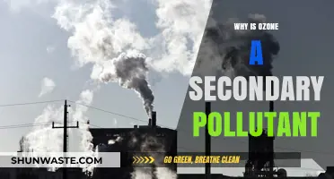 Understanding Ozone: A Secondary Pollutant and Its Environmental Impact