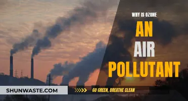 Ozone: Harmful Air Pollutant or Protective Layer?
