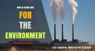 Ozone's Environmental Impact: Understanding Its Harmful Effects on Our Planet