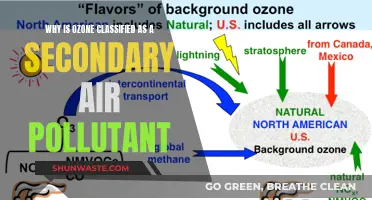 Ozone: Secondary Air Pollutant, A Complex Concern