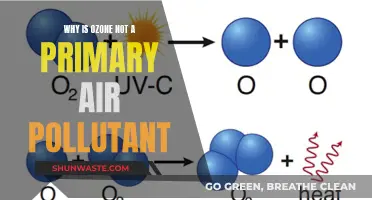 Ozone: Friend or Foe in the Air We Breathe?
