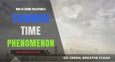 Summer's Silent Threat: Understanding Ozone Pollution's Seasonal Spike